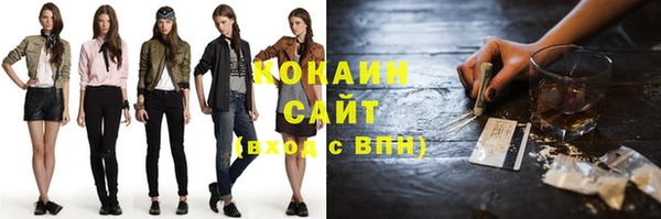 стаф Медногорск